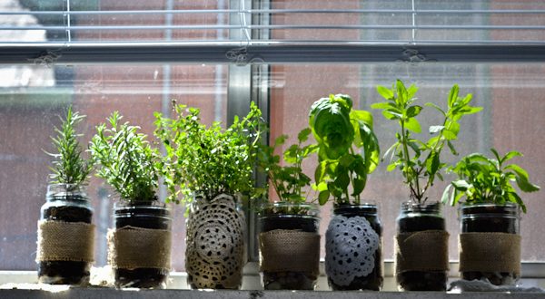 Diy Indoor Herb Garden // Peace. Love. Quinoa