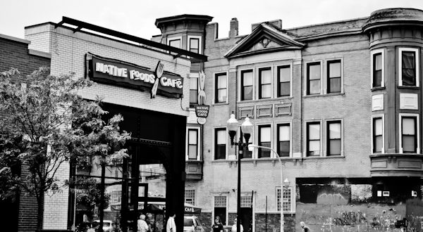 Native Foods Cafe // Wicker Park