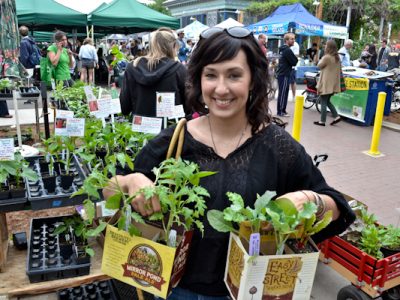 Starter Plants From Farmers Market