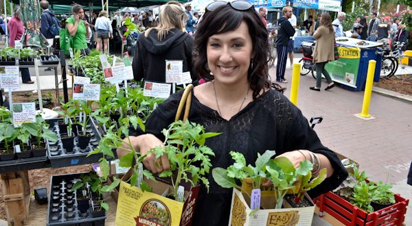 Starter Plants From Farmers Market