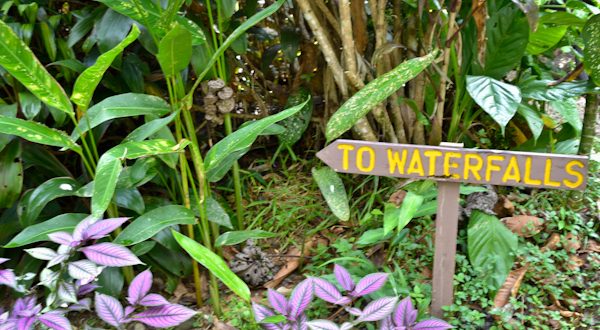 Waterfall Villas