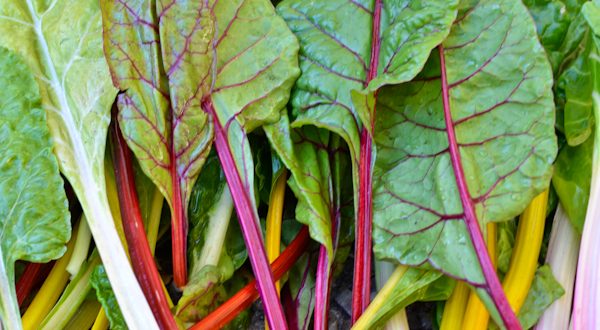 Rainbow Chard